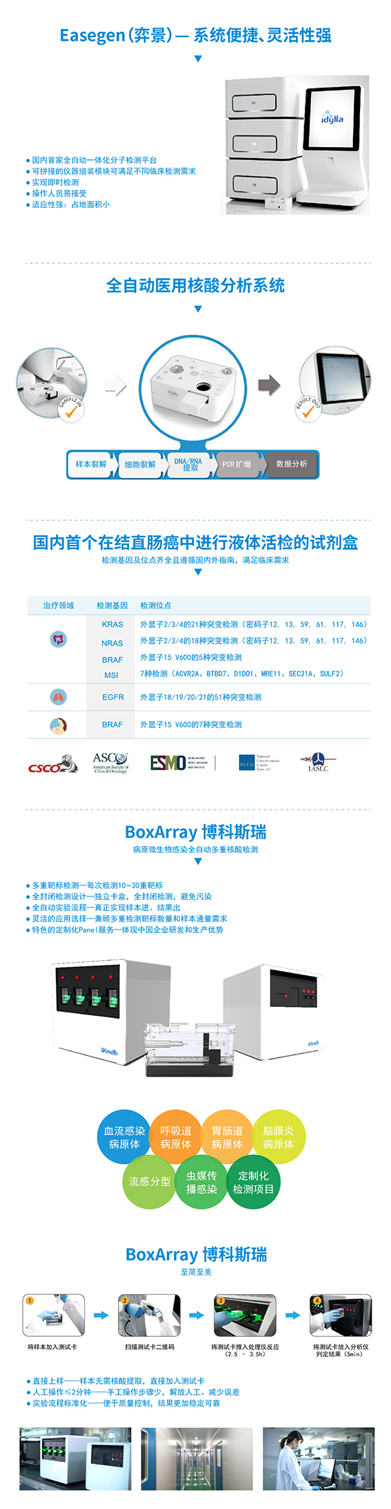 分子诊断系列